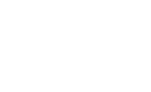 author of website - logo